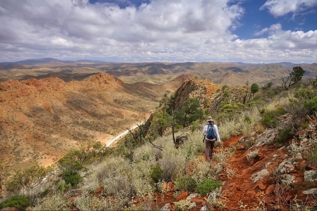 Arkaroola Wilderness Sanctuary Ξενοδοχείο Εξωτερικό φωτογραφία